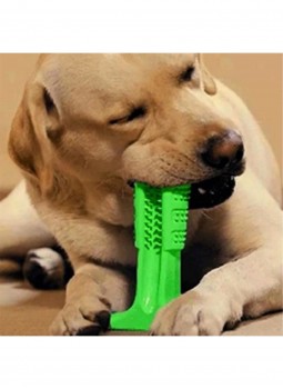 Köpek Diş Temizleyici Ve Kaşıyıcı Sağlıklı Küçük Boy Oyuncak